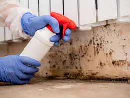 Best Residential Mold Inspection & Testing  in Eustace, TX